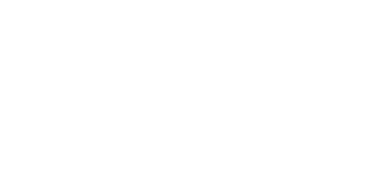1991 A Single, Connected World