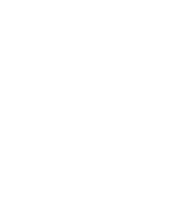 2002 The Worlds Largest Single Market Opens for Business