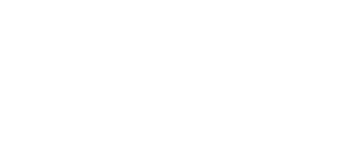 2014 The E-Mobility Revolution