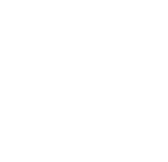2009 Pushing the Boundaries of Scientific Research
