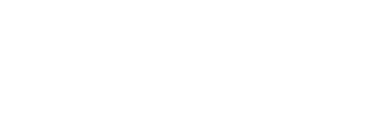 2002 The Worlds Largest Single Market Opens for Business