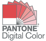 Pantone Digital Color Logo